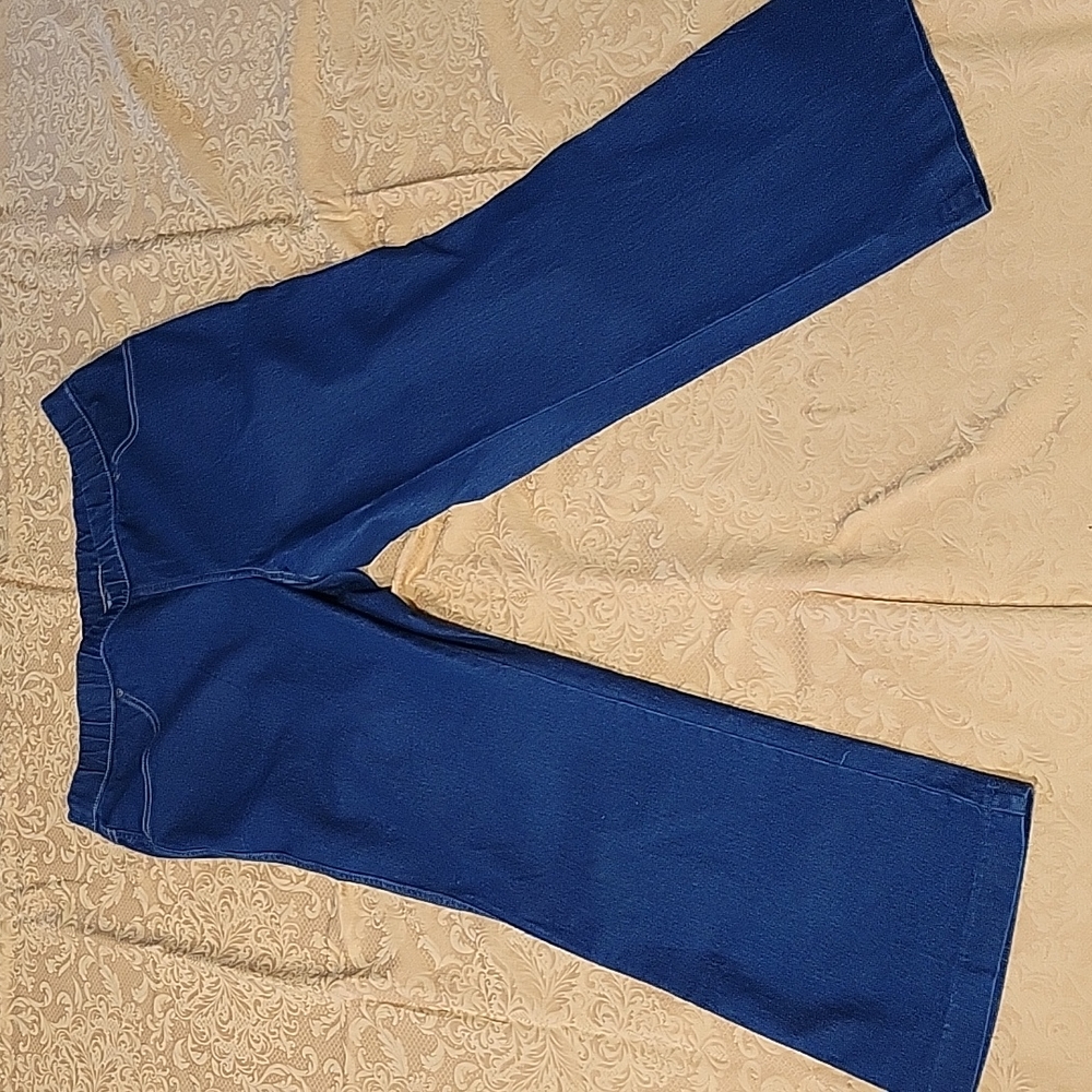 Jeans - Hanes Just My Size 16W